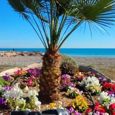 Perla Del Mar *
