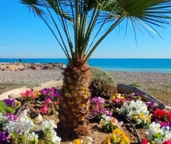 Perla Del Mar *